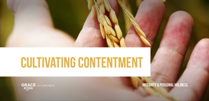 Cultivating Contentment